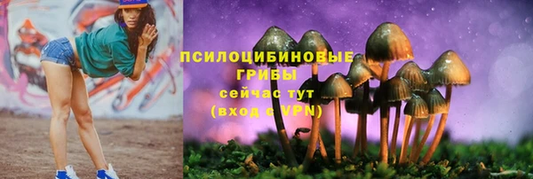 a pvp Алексин