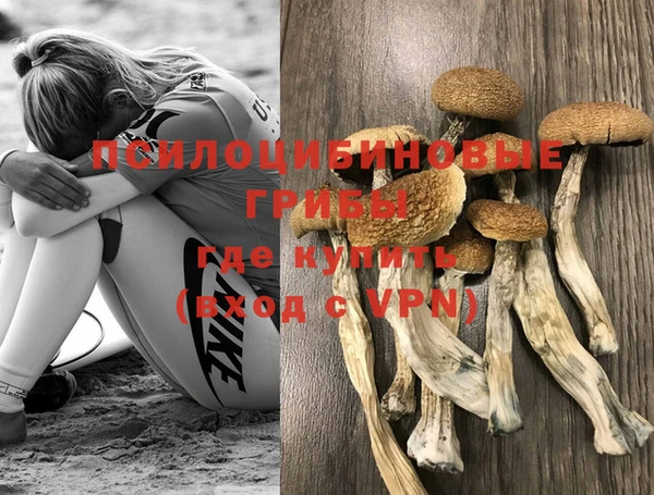 a pvp Алексин
