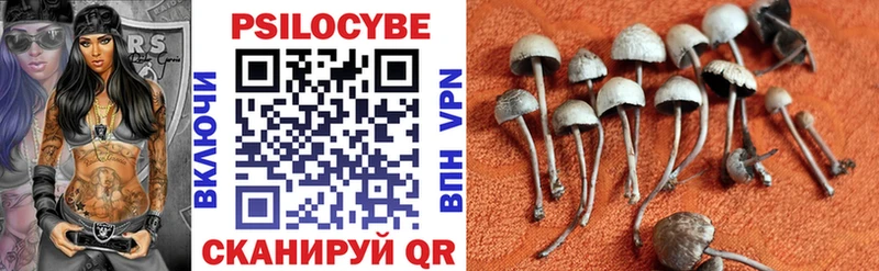 Галлюциногенные грибы прущие грибы  blacksprut tor  Лодейное Поле 